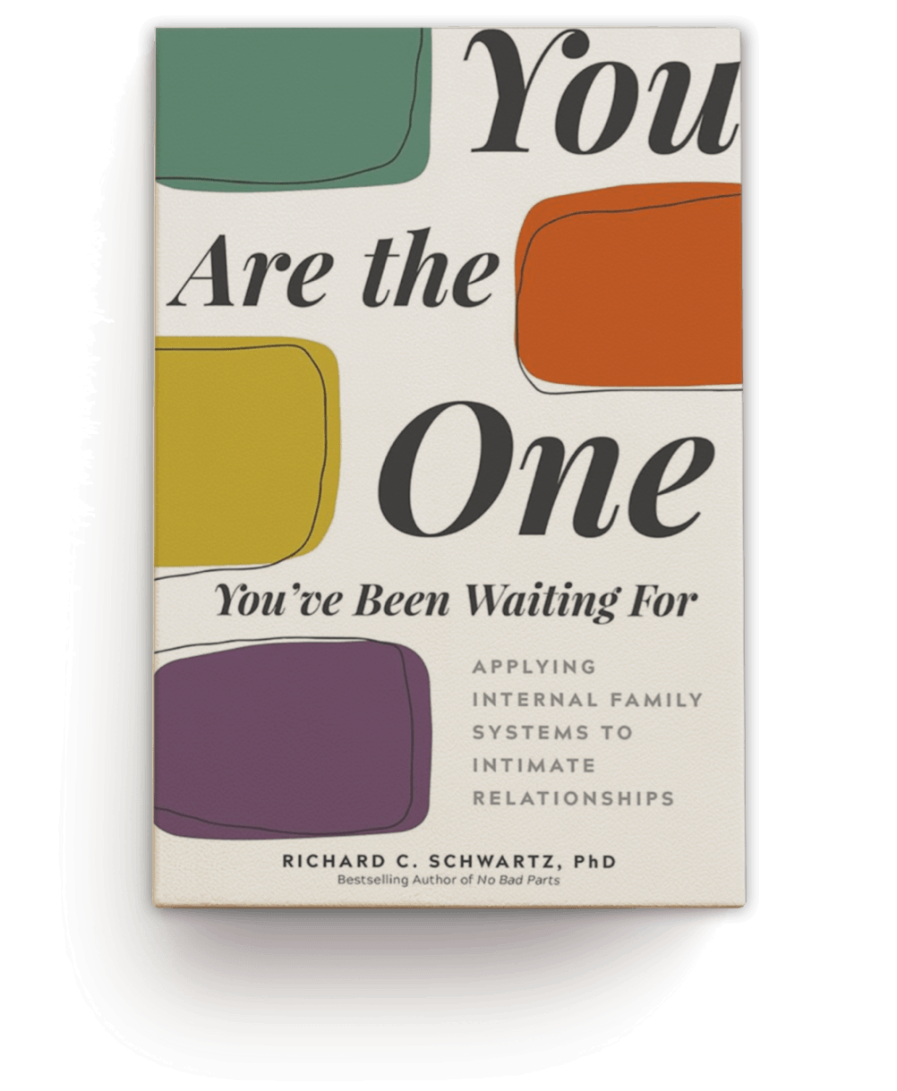 You Are the One I've Been Waiting For by Richard C. Schwartz, PhD Book Cover