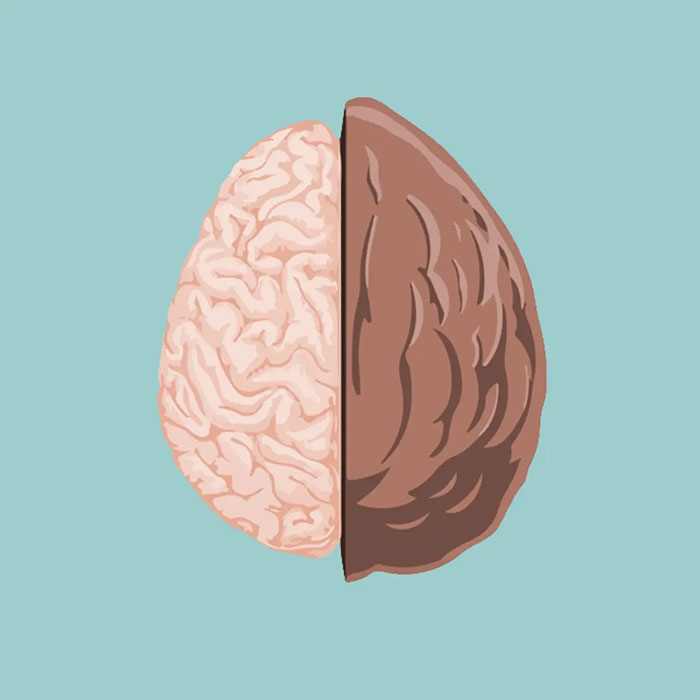 Therapy in a Nutshell Logo